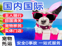 阿鲁科尔沁机场物流国际宠物托运 【国